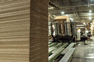 papeltecnica_fabrica_6