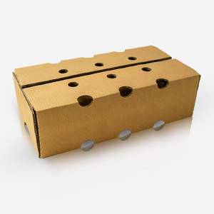 papeltecnica_producto_14